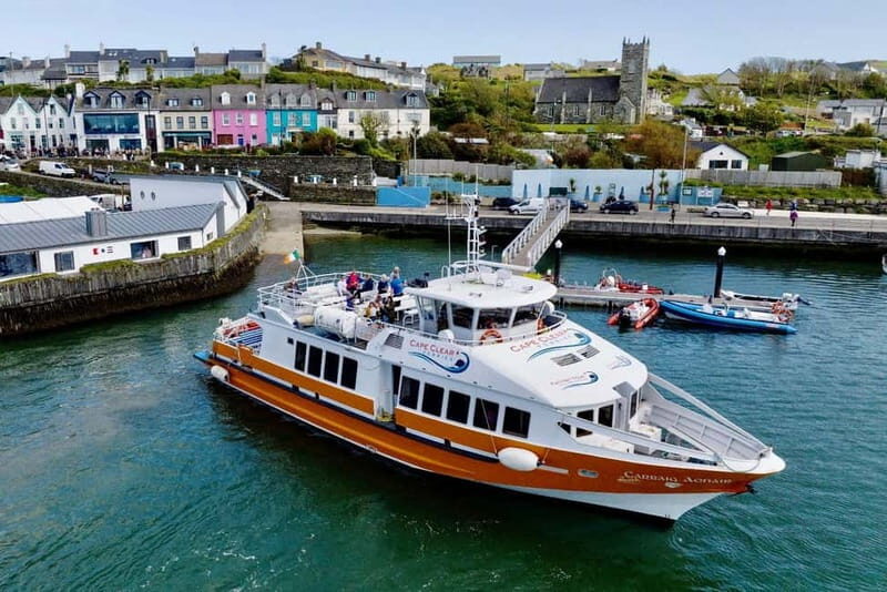 From Baltimore Boat Tour: Fastnet Rock Lighthouse - Key Points