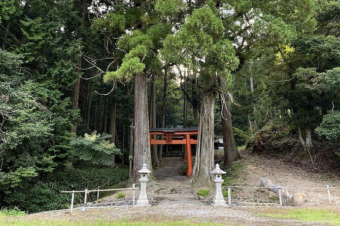 From Bamboo to Hidden Shrines: Kyotos Private Escape Tour by Car - Who Is This Tour Best For?