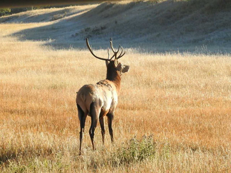 from-banff-canmore-guided-day-tour-in-banff-national-park