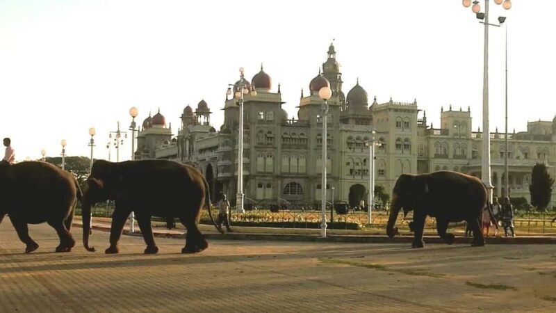 From Bangalore : Mysore Sightseeing full day tour - Introduction