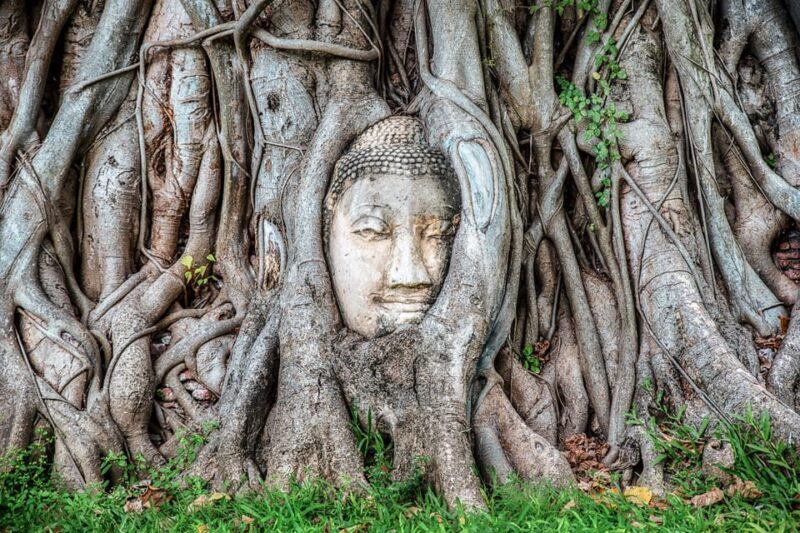 From Bangkok: Ayutthaya & Ayothaya Floating Market Day Trip - Authentic Insights from Reviewers