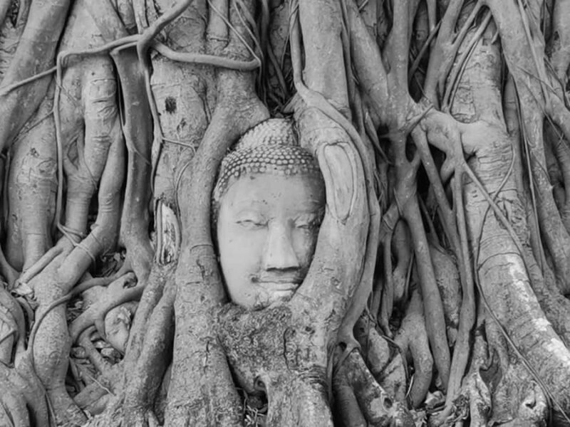 From Bangkok: Ayutthaya Day Trip with Transport - Final Thoughts