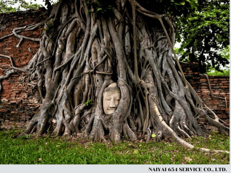 from-bangkok-ayutthaya-floating-market-private-day-trip