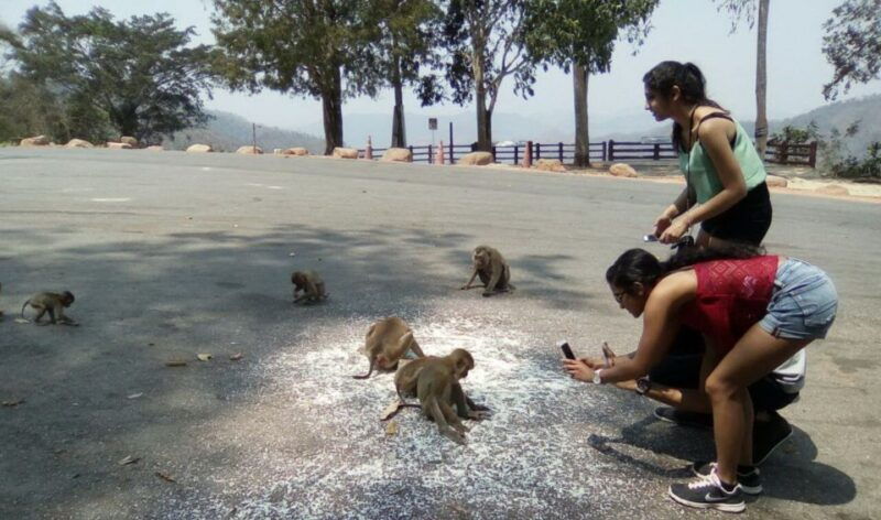 from-bangkok-ayutthaya-khao-yai-national-park-day-trip