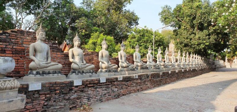 from-bangkok-ayutthaya-khao-yai-national-park-day-trip