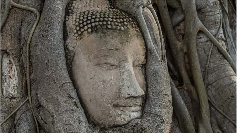 From Bangkok: Ayutthaya Must-Visit Temples with Café - The Sum Up