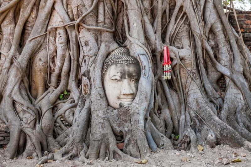 From Bangkok: Ayutthaya Private Full-Day UNESCO Trip - What to Expect: Tour Experience and Practical Tips