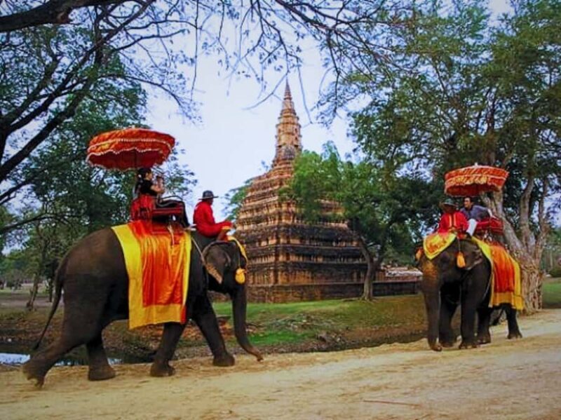 From Bangkok: Ayutthaya Tour, Elephant Palace & Royal Kraal - An Honest Breakdown of the Tour