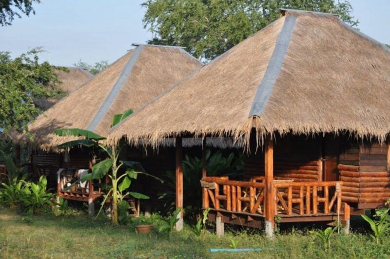 from-bangkok-elephantsworld-kanchanaburi-2-day-experience
