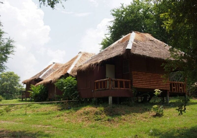 from-bangkok-elephantsworld-kanchanaburi-2-day-experience