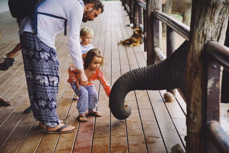 from-bangkok-elephantsworld-kanchanaburi-2-day-experience
