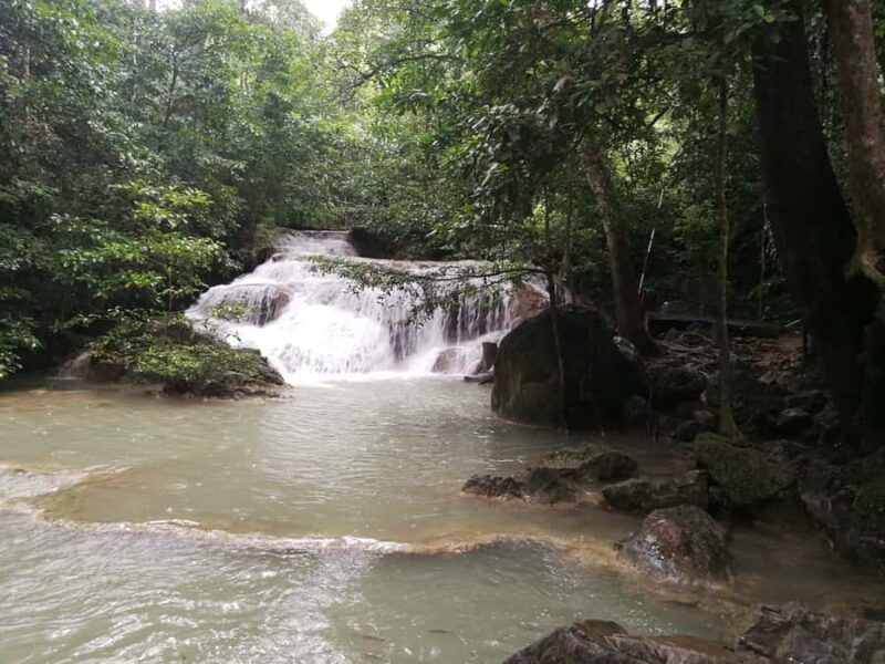 From Bangkok: Erawan Park & Elephant Feeding Private Tour - A Deep Dive into the Experience