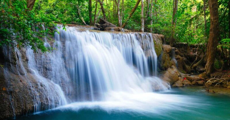 from-bangkok-erawan-park-elephant-feeding-private-tour