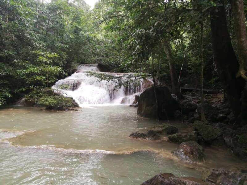 from-bangkok-erawan-park-elephant-feeding-private-tour