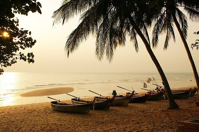 From Bangkok: Full Day Customizable Private Tour to Pattaya City - Potential Drawbacks