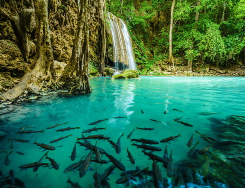 from-bangkok-kanchanaburi-river-kwai-erawan-falls-tour