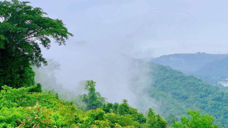 from-bangkok-khao-yai-full-day-sightseeing-and-trekking