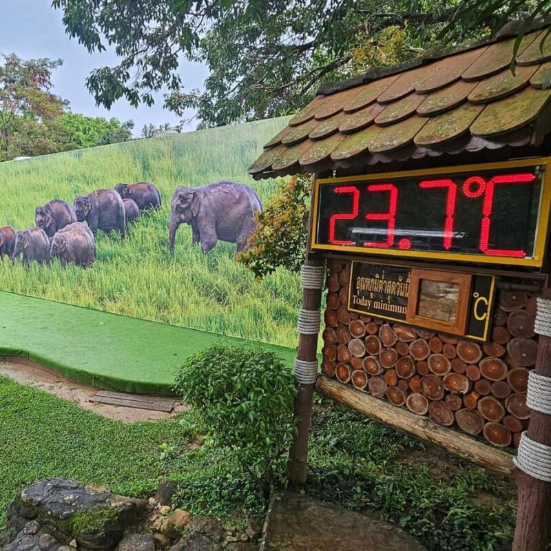 From Bangkok: Khao Yai National Park Day Trip - What to Expect: Practical Details