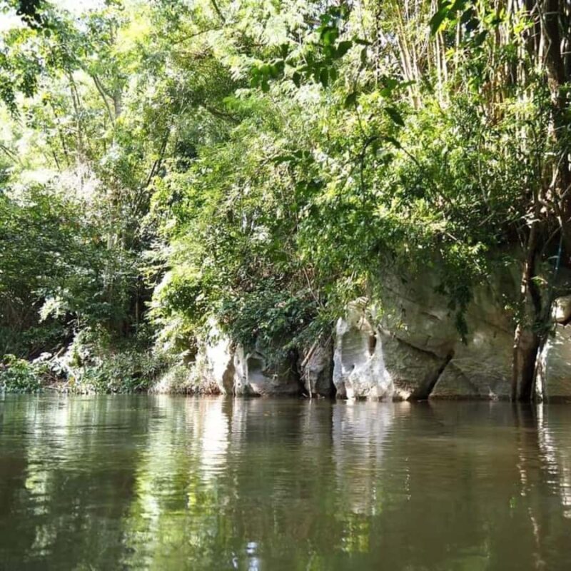 From Bangkok: Khao Yai National Park Day Trip - The Sum Up