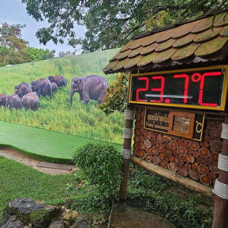 from-bangkok-khao-yai-national-park-day-trip