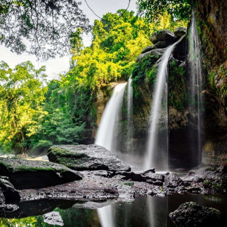 from-bangkok-khao-yai-national-park-day-trip