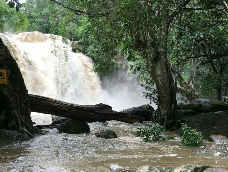 from-bangkok-khao-yai-national-park-jungle-trek-with-lunch