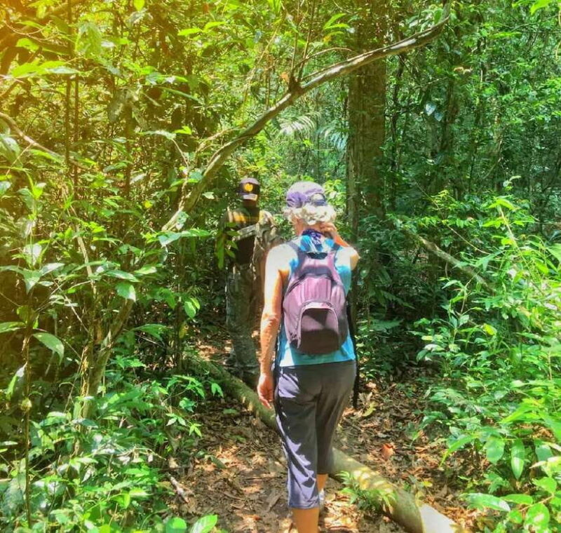 From Bangkok: Khao Yai National Park Small-Group Day Trip - An Overview of the Tour