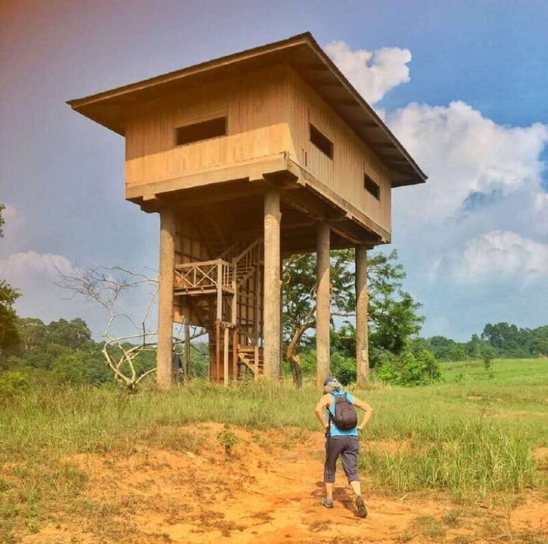 From Bangkok: Khao Yai National Park Small-Group Day Trip - The Experience: What Really Sets It Apart