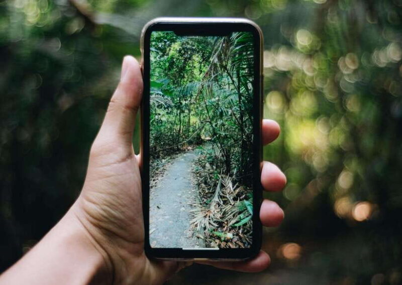 From Bangkok: Khao Yai National Park Small-Group Day Trip - Final Thoughts