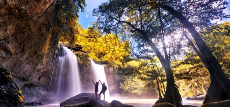 From Bangkok: Khao Yai Private Charter with Multiple Options - What the Reviews Say