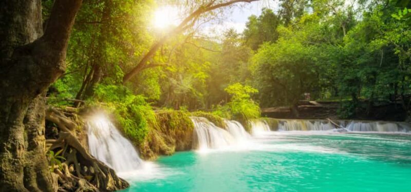 From Bangkok: Khao Yai Private Charter with Multiple Options - Who Is This Tour Best For?