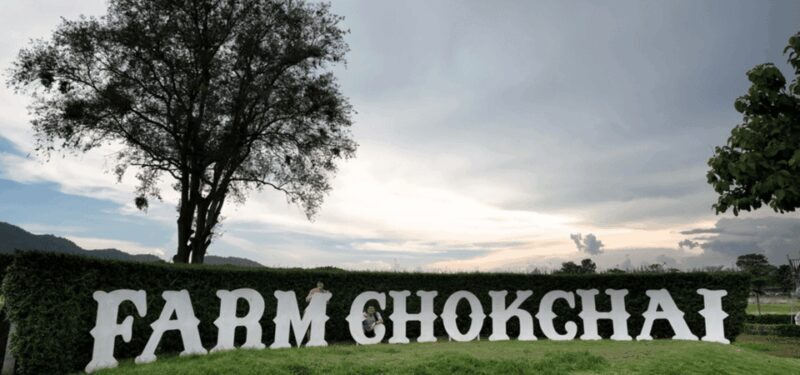 From Bangkok: Khao Yai Private Charter with Multiple Options - FAQ