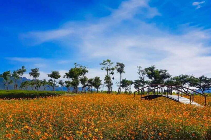 from-bangkok-khao-yai-private-charter-with-multiple-options