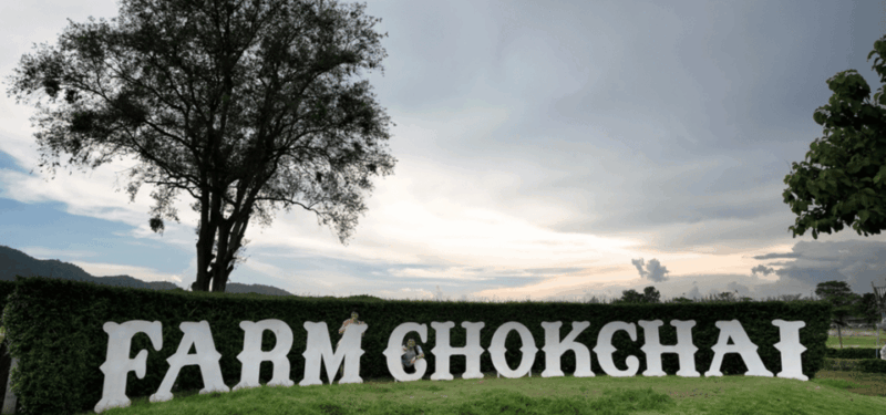 from-bangkok-khao-yai-private-charter-with-multiple-options