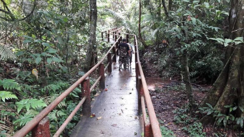 From Bangkok: Khao Yai Spectacular Waterfalls Day Trip - Final Thoughts