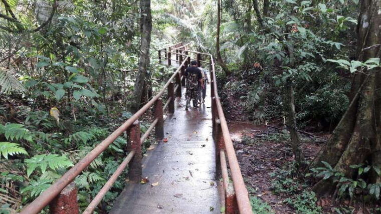 from-bangkok-khao-yai-spectacular-waterfalls-day-trip