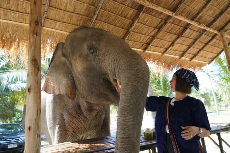 from-bangkok-living-green-elephant-sanctuary-day-trip