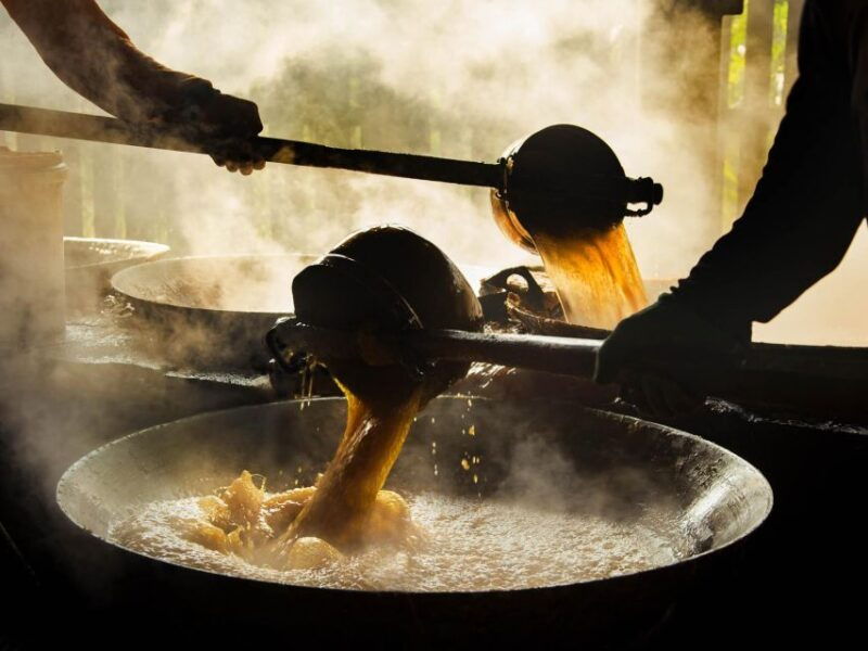 from-bangkok-maeklong-railway-and-floating-market-day-tour