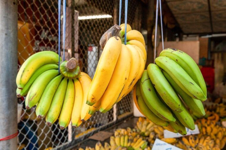 from-bangkok-maeklong-railway-and-floating-market-food-tour