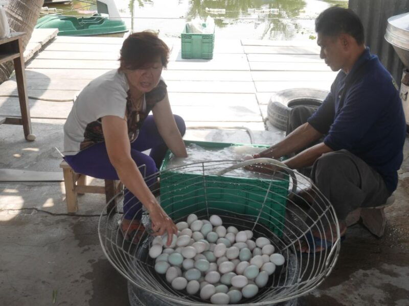 from-bangkok-mahasawat-canal-and-farm-with-lunch