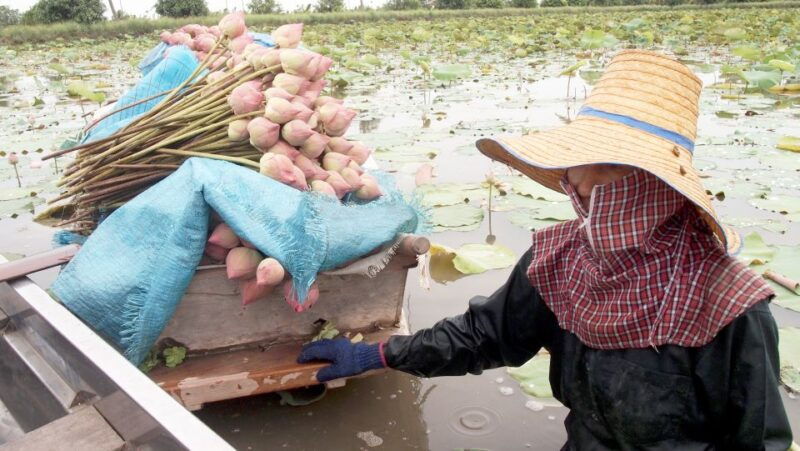 from-bangkok-mahasawat-canal-and-farm-with-lunch