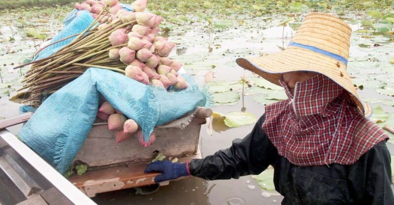 from-bangkok-mahasawat-canal-and-farm-with-lunch