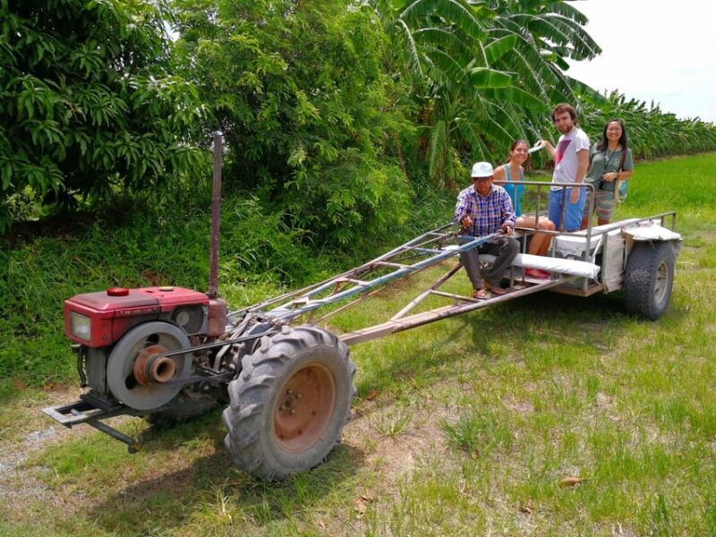 From Bangkok: Mahasawat Canal and Organic Fruit Farm Tour - FAQ
