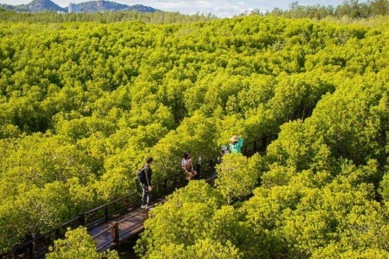 from-bangkok-or-hua-hin-hua-hin-tour-with-private-charter