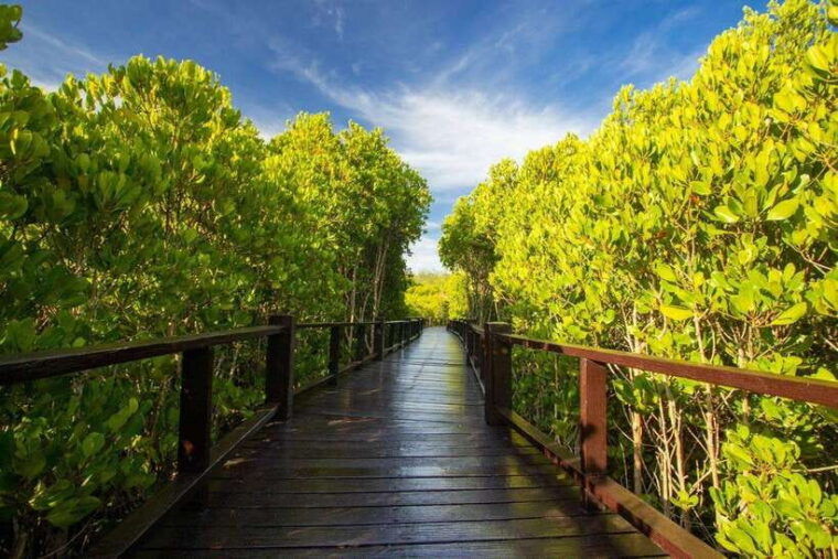 from-bangkok-or-hua-hin-hua-hin-tour-with-private-charter