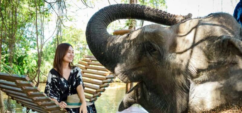 From Bangkok/Pattaya: Private Customized Pattaya Day Trip - Authenticity & Local Insights