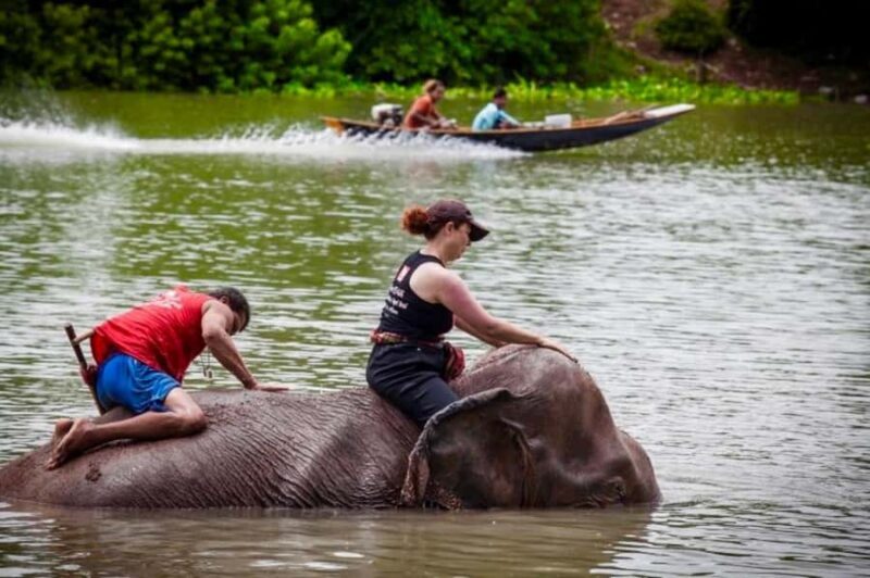 From Bangkok: Private Guided Ayutthaya Day Tour - Who Will Love This Tour?