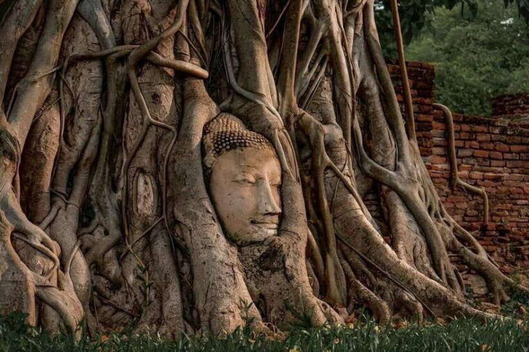 from-bangkok-private-guided-ayutthaya-day-tour
