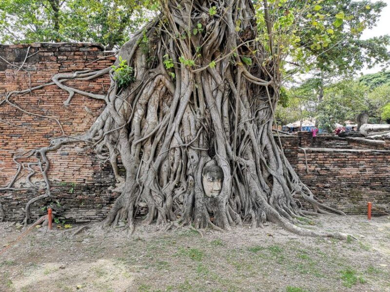 from-bangkok-private-tour-to-ayutthaya-summer-palace