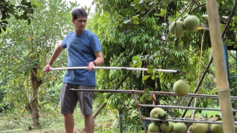 From Bangkok: Taste and Tune of Samut Songkhram Private Tour - Key Points